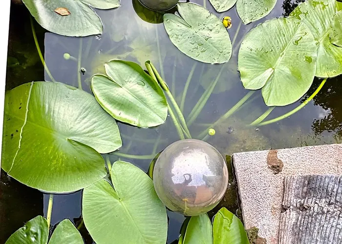 Idyllisches Mit Pool Im Gruenen, Citynah * Hamburgo